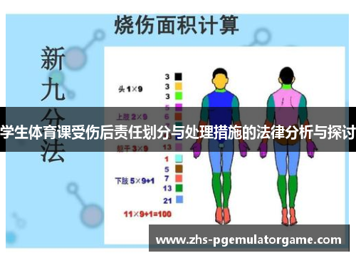 学生体育课受伤后责任划分与处理措施的法律分析与探讨