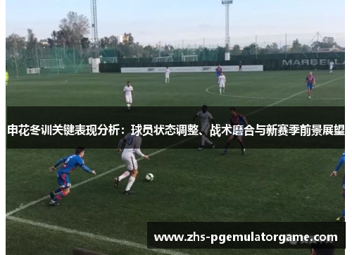 申花冬训关键表现分析：球员状态调整、战术磨合与新赛季前景展望