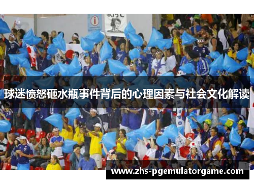 球迷愤怒砸水瓶事件背后的心理因素与社会文化解读