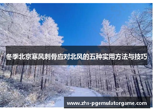 冬季北京寒风刺骨应对北风的五种实用方法与技巧