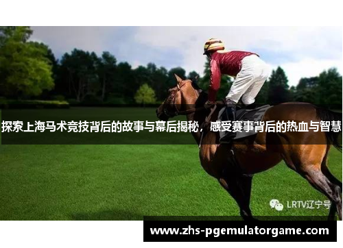 探索上海马术竞技背后的故事与幕后揭秘，感受赛事背后的热血与智慧