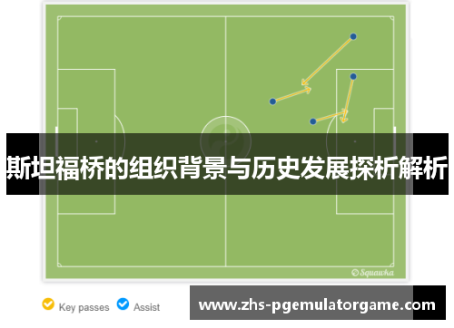 斯坦福桥的组织背景与历史发展探析解析