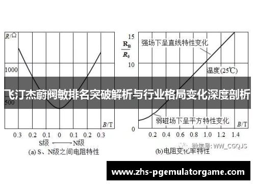 飞汀杰蔚阀敏排名突破解析与行业格局变化深度剖析